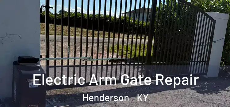  Electric Arm Gate Repair Henderson - KY