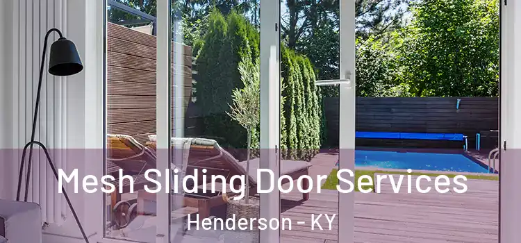 Mesh Sliding Door Services Henderson - KY